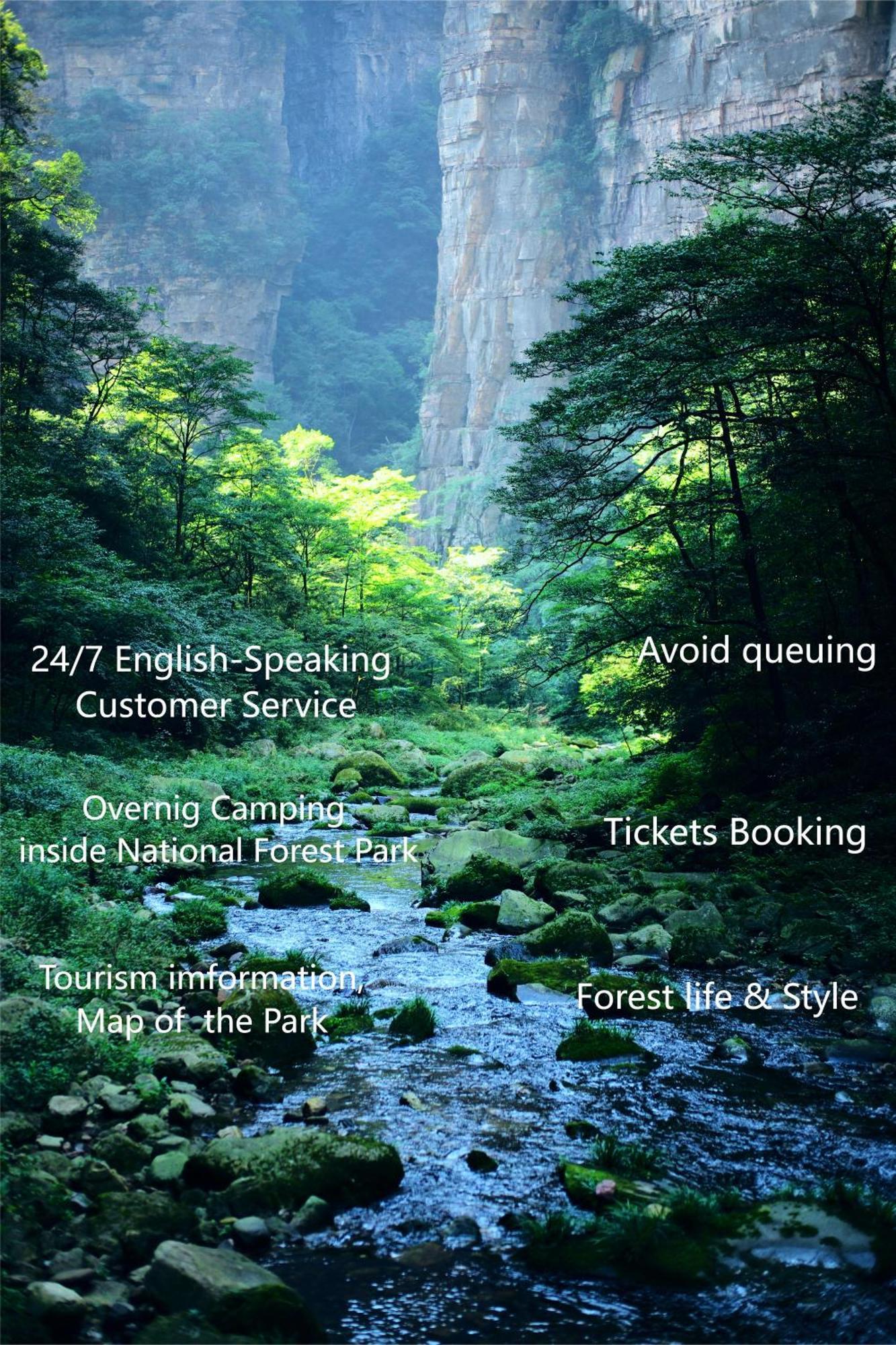 Zhangjiajie National Forest Park Camping Exterior foto